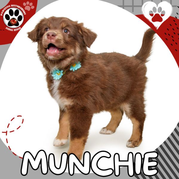 Munchie thumbnail 1