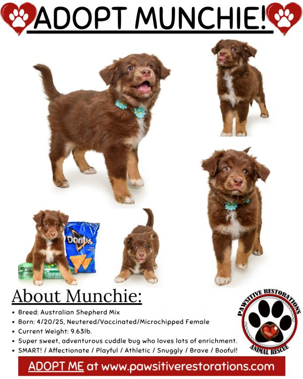 Munchie thumbnail 2