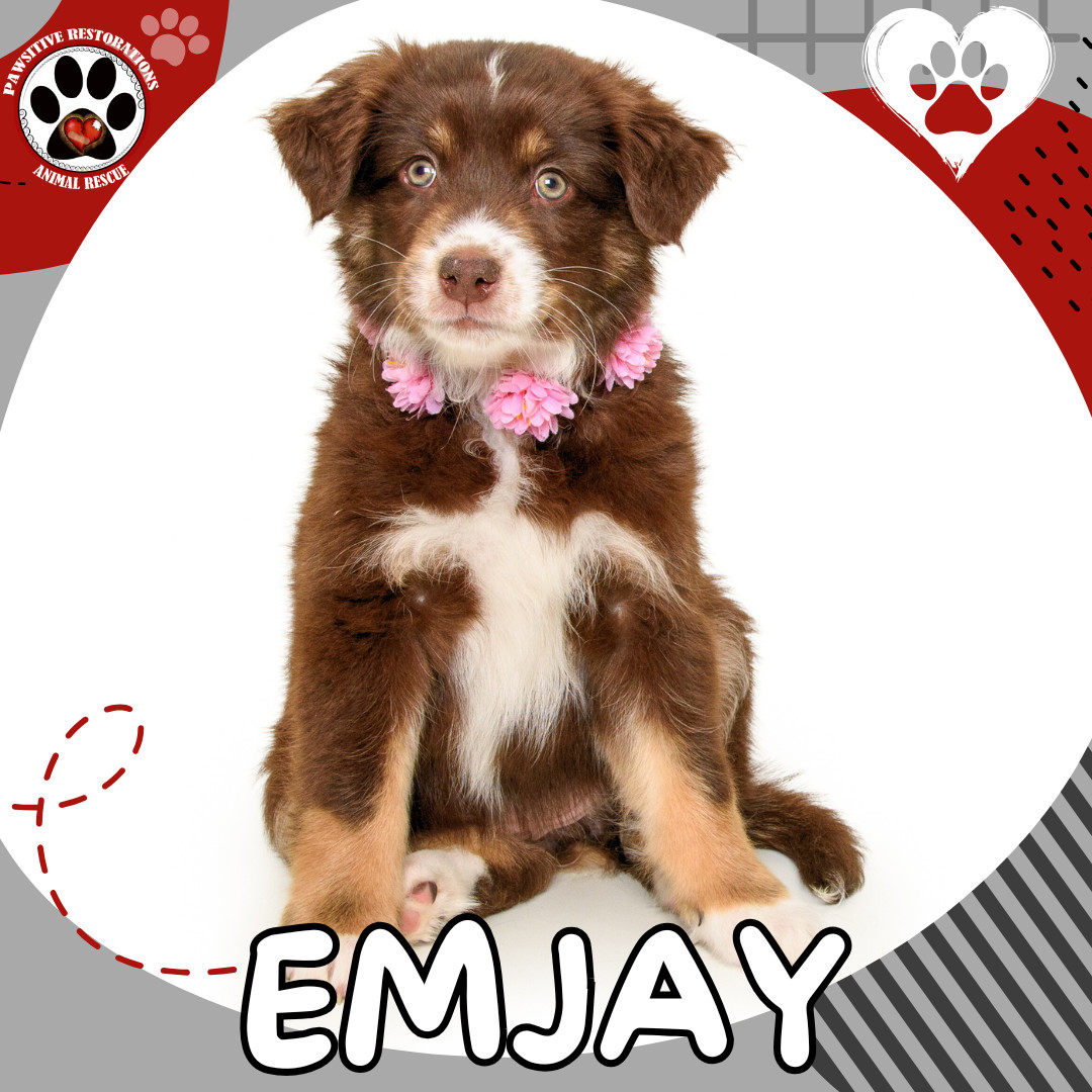 EMJAY