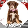 EMJAY photo 1