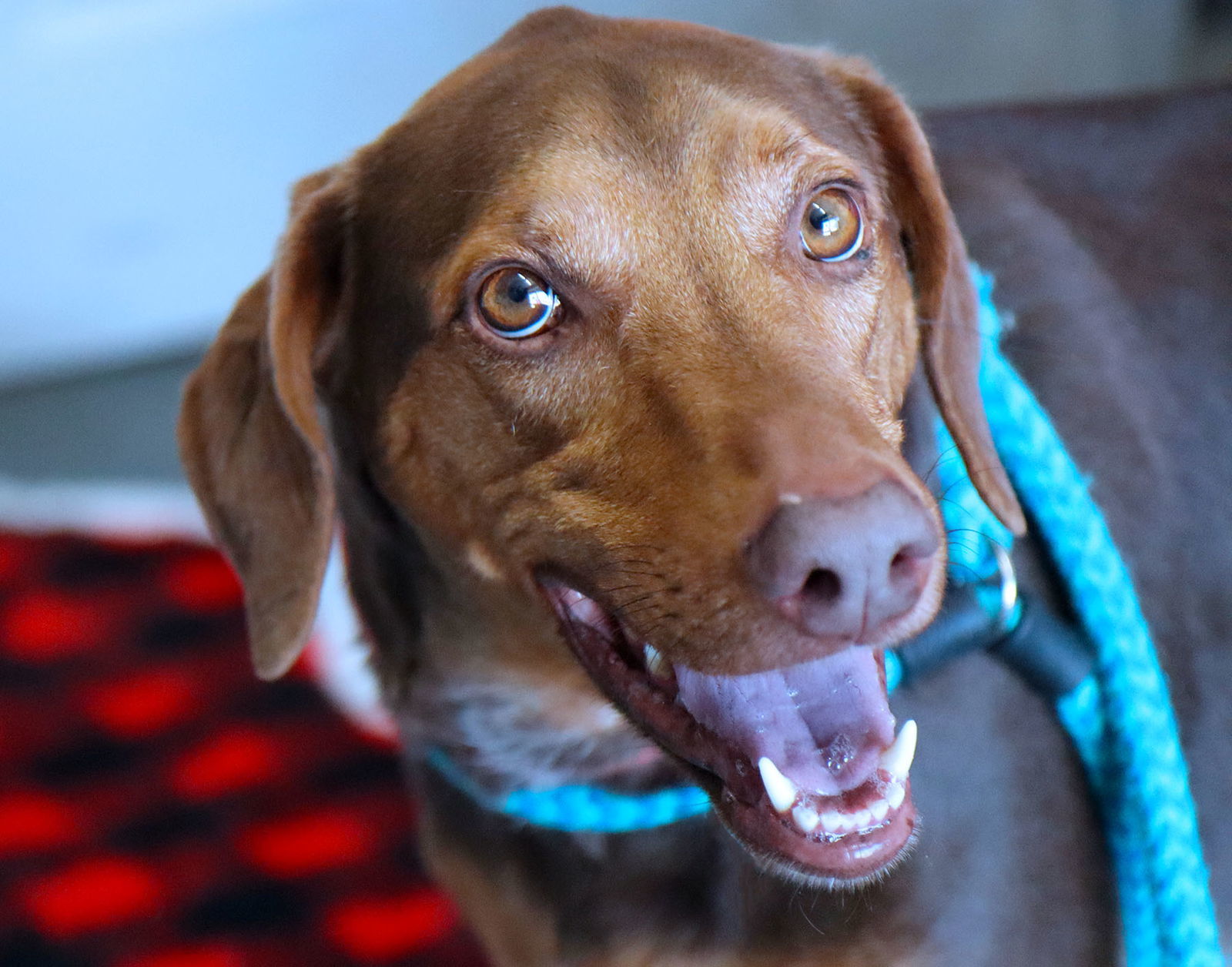 Maggie Mae