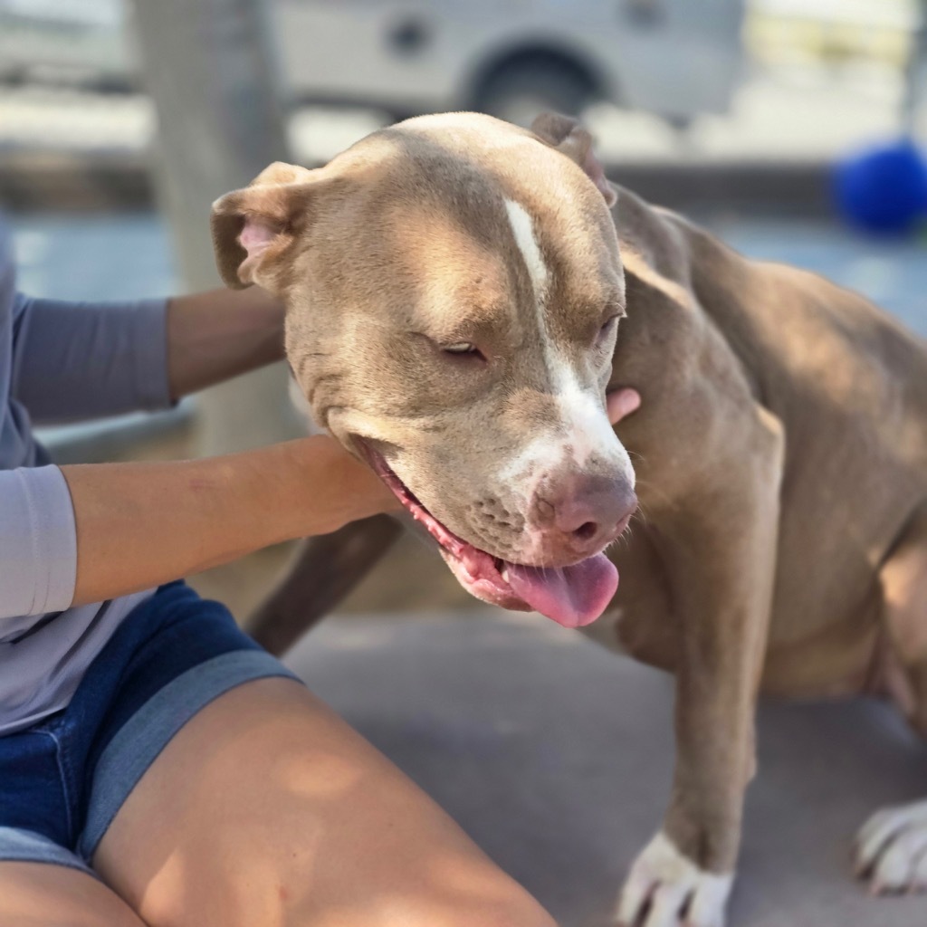 Nala