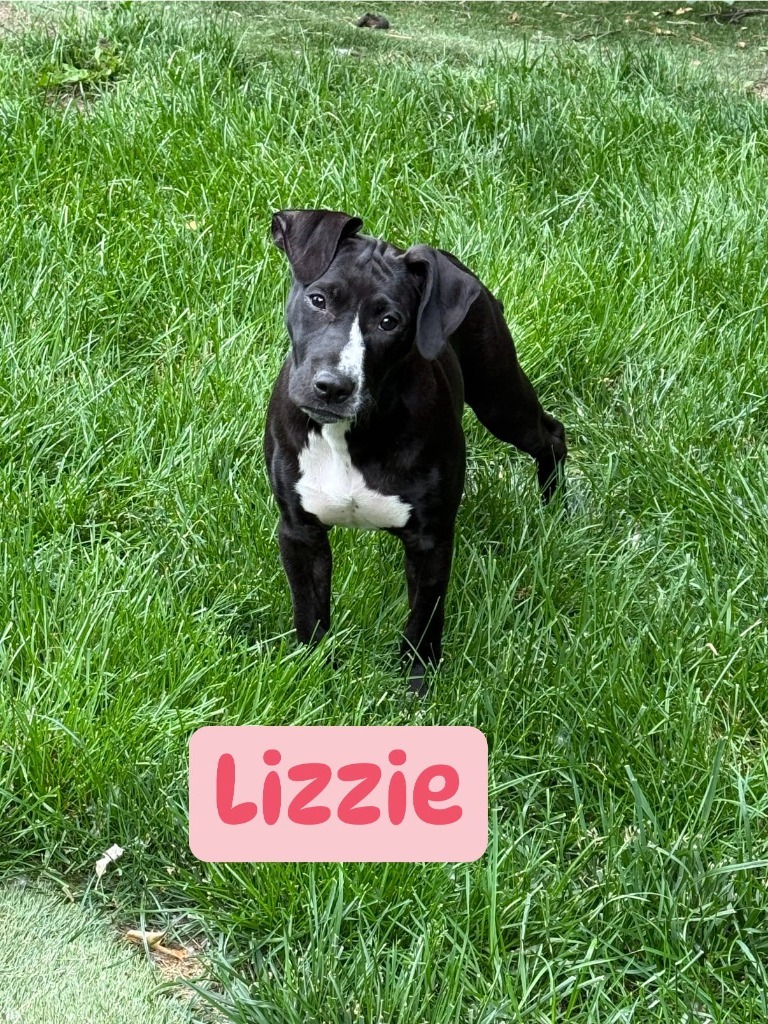 Lizzie
