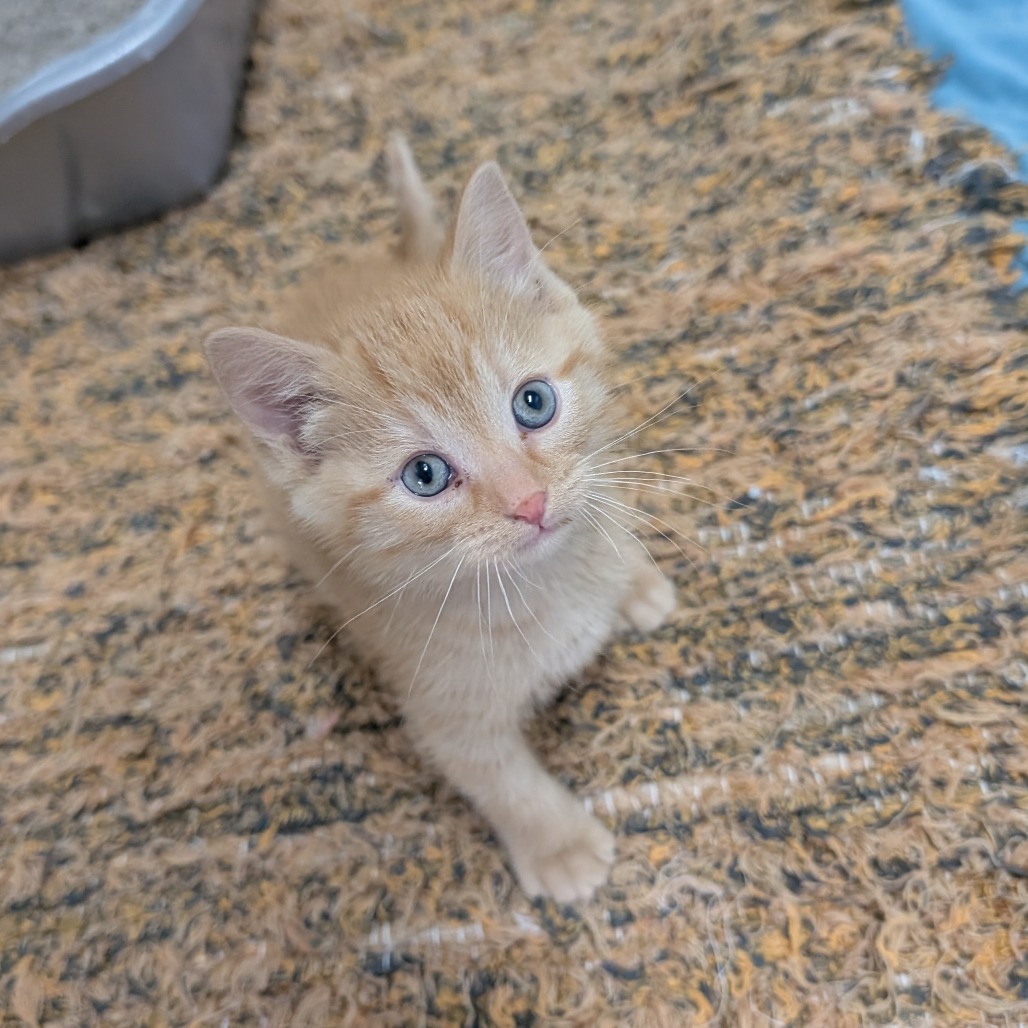 Rita