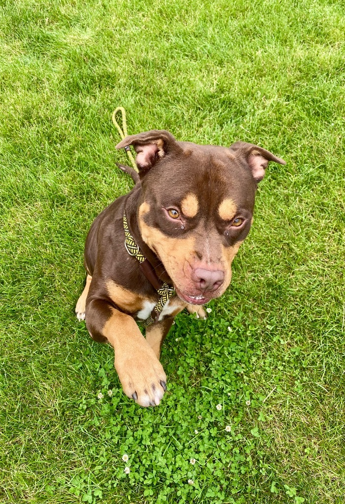 BILLY