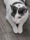 Baxter photo 2