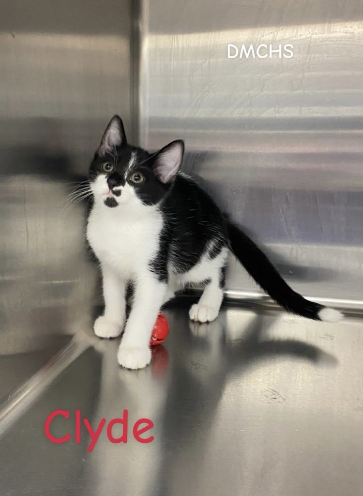 Clyde