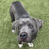 Rollo photo 2