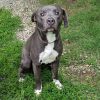 Rollo photo 4