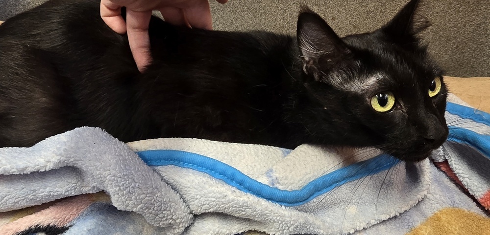 Mimi