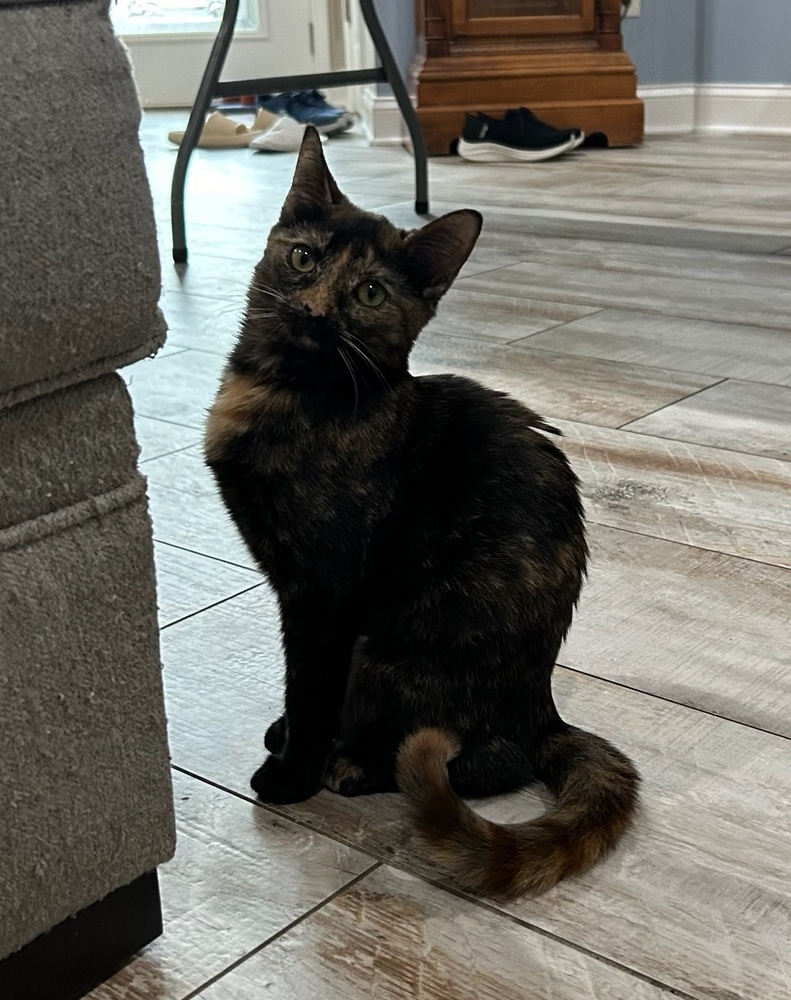 Yuki