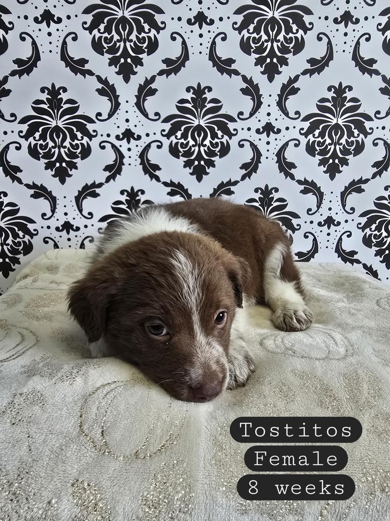 Tostitos