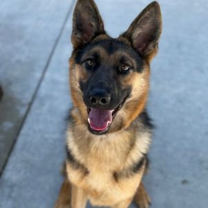 Lexi, Young Female unknown