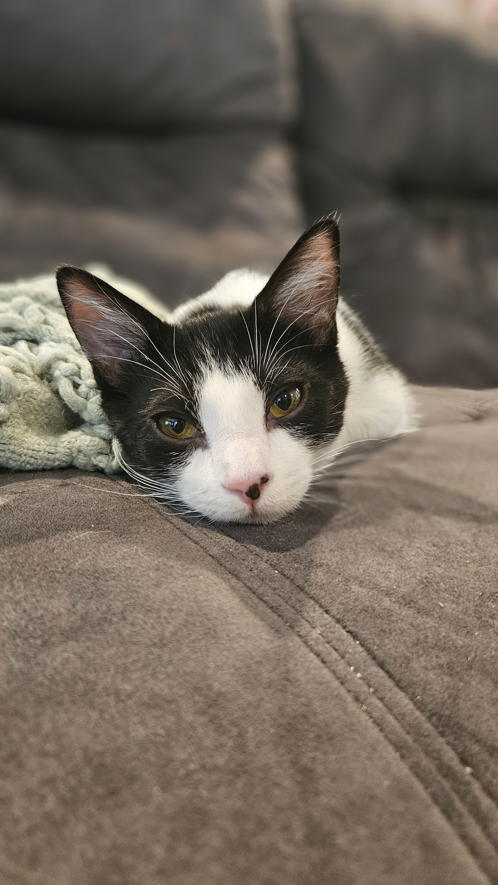 Otis
