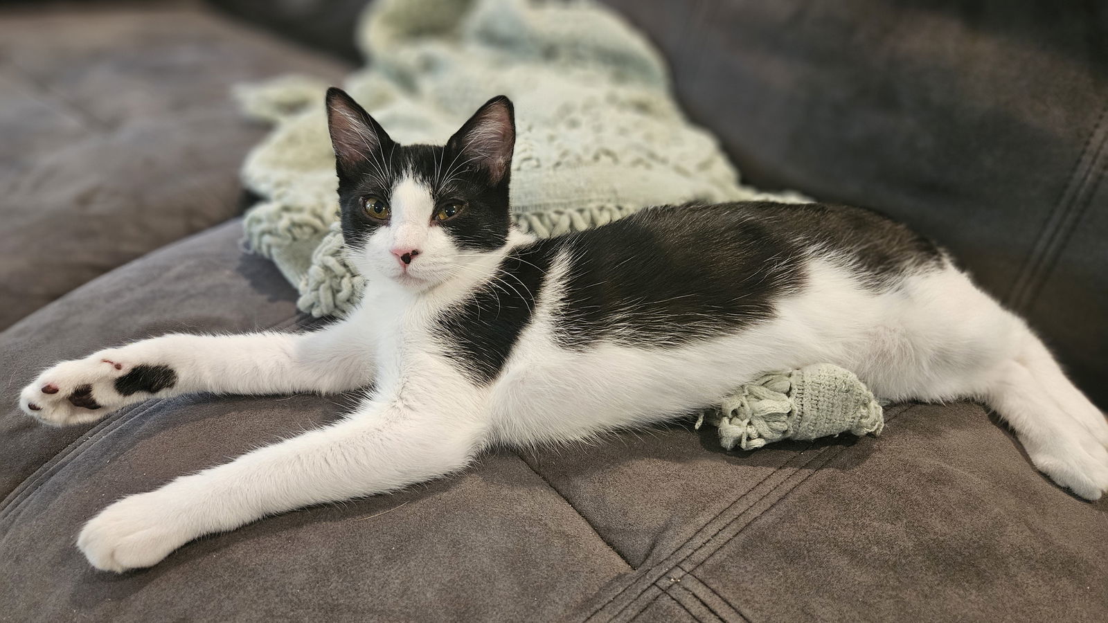Otis