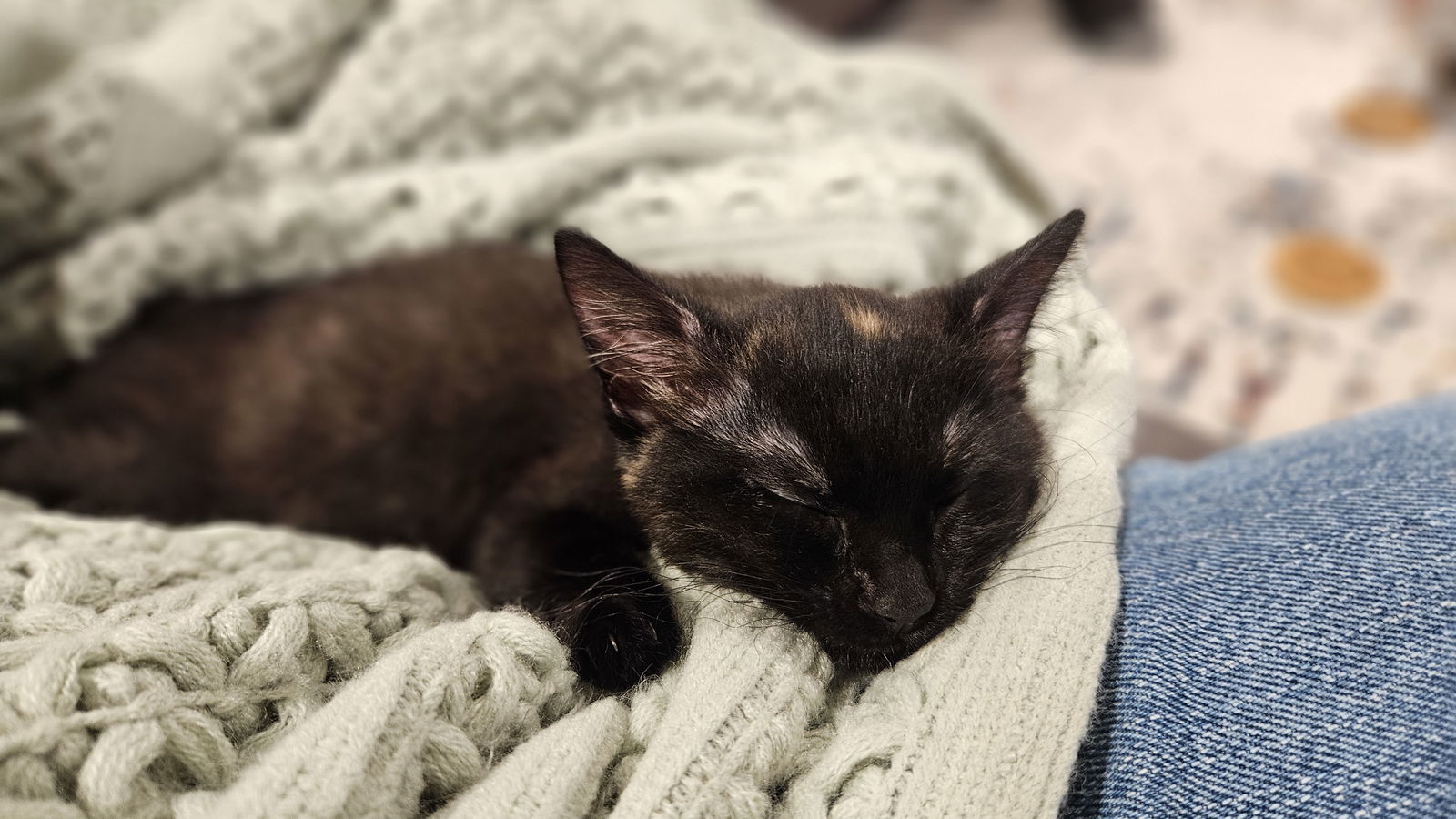Bounty (bonded with Snickers)