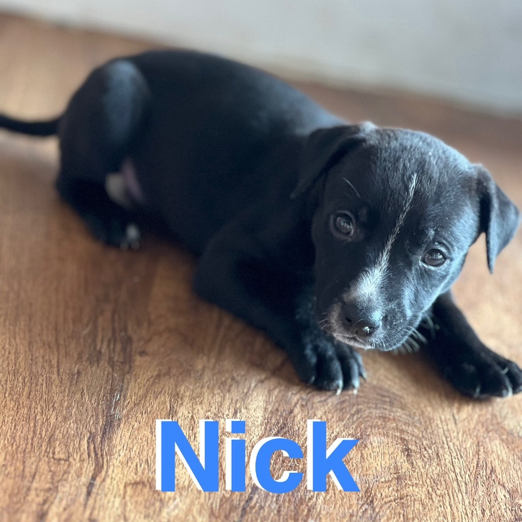 Nick