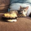 Penny photo 3
