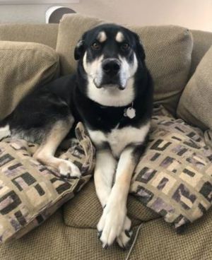 Bane - Courtesy Posting