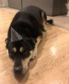 Bane - Courtesy Posting photo 2