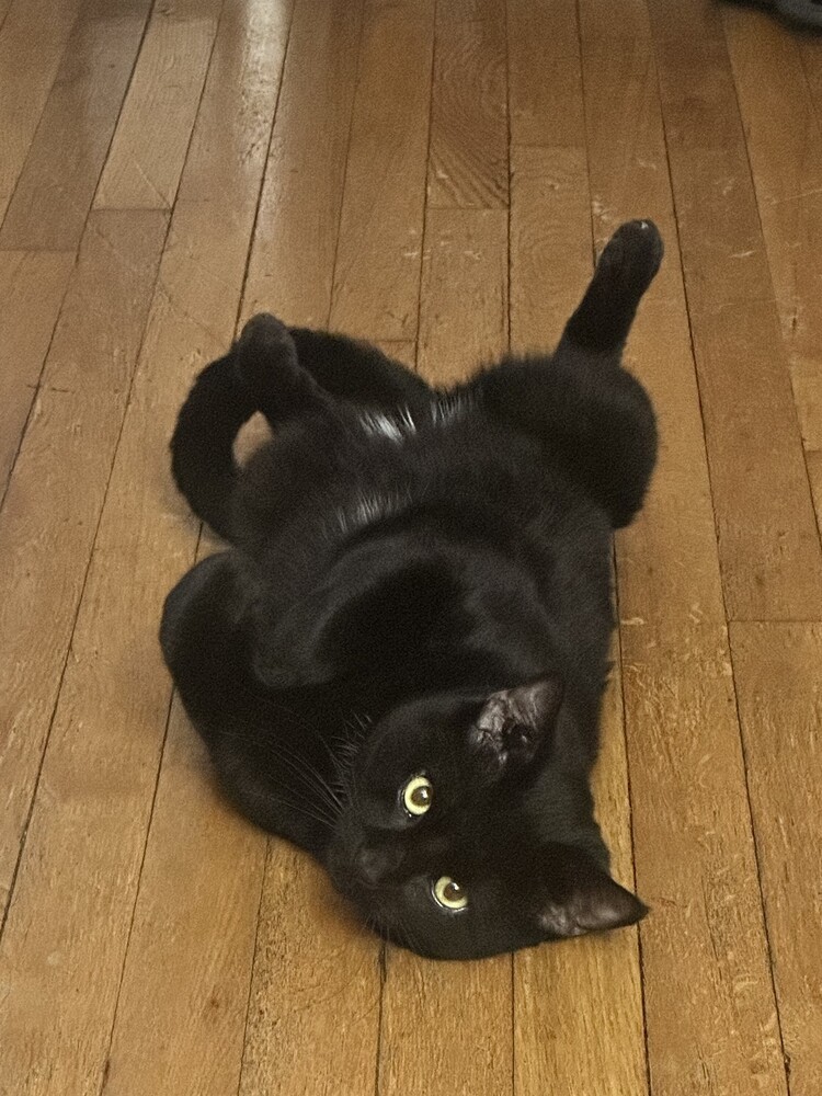 T'Challa