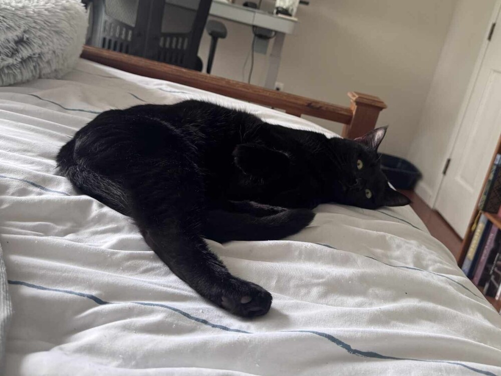 T'Challa
