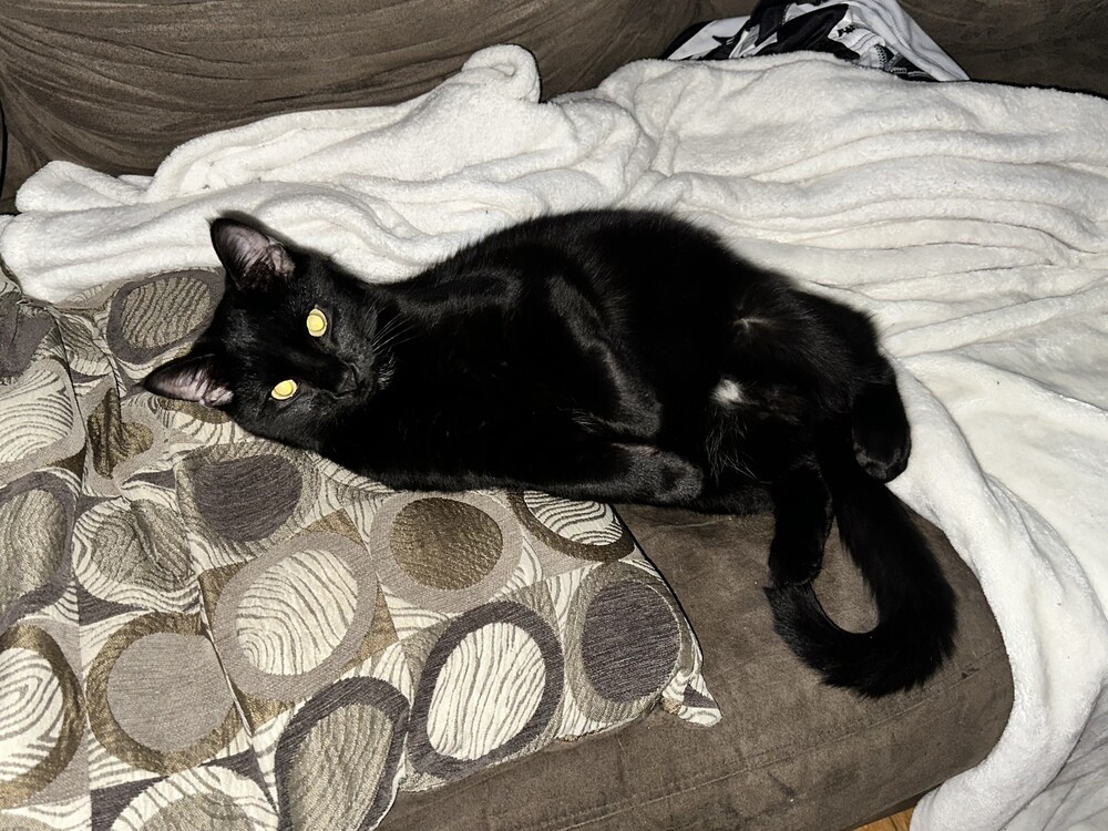 T'Challa