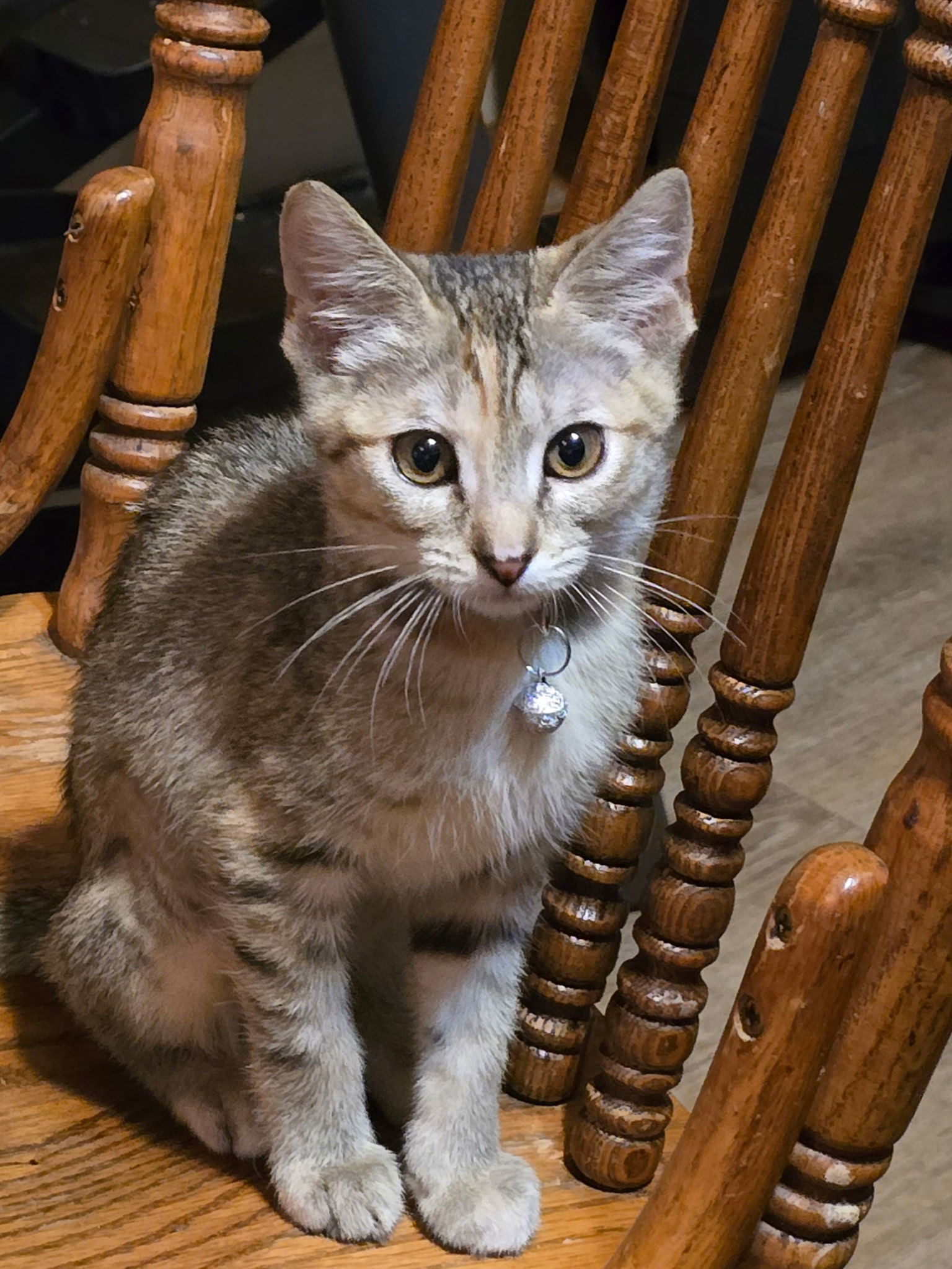 Gracie