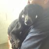 Sally photo 2