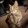 Momma Elphie photo 1