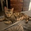 Momma Elphie photo 2