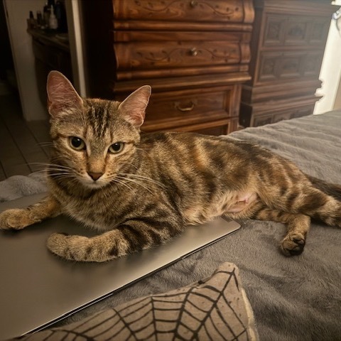 Momma Elphie