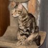 Momma Elphie photo 4