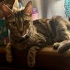 Momma Elphie photo 6