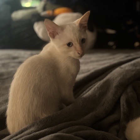 Casper