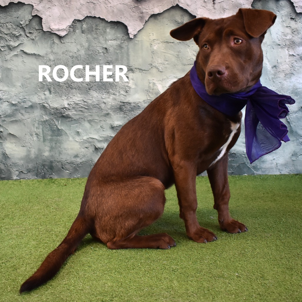 Rocher