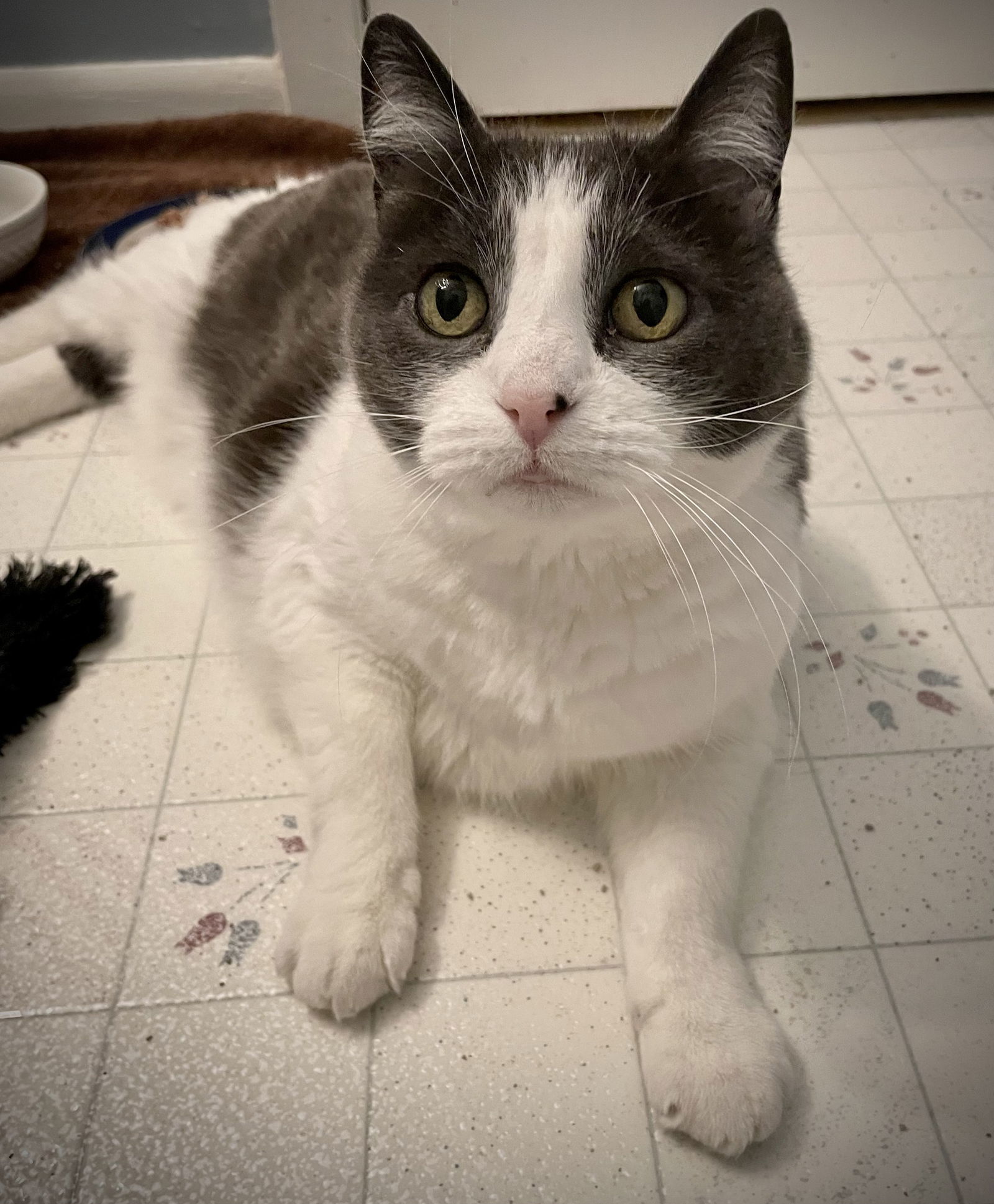 Katie