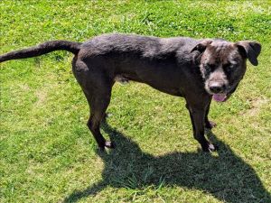 This animal was rescued by A Citizen Date animal was rescued 050825 Date animal was brought to t