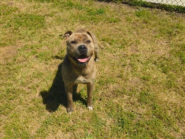NALA