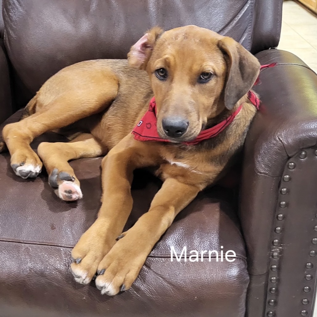 Marnie