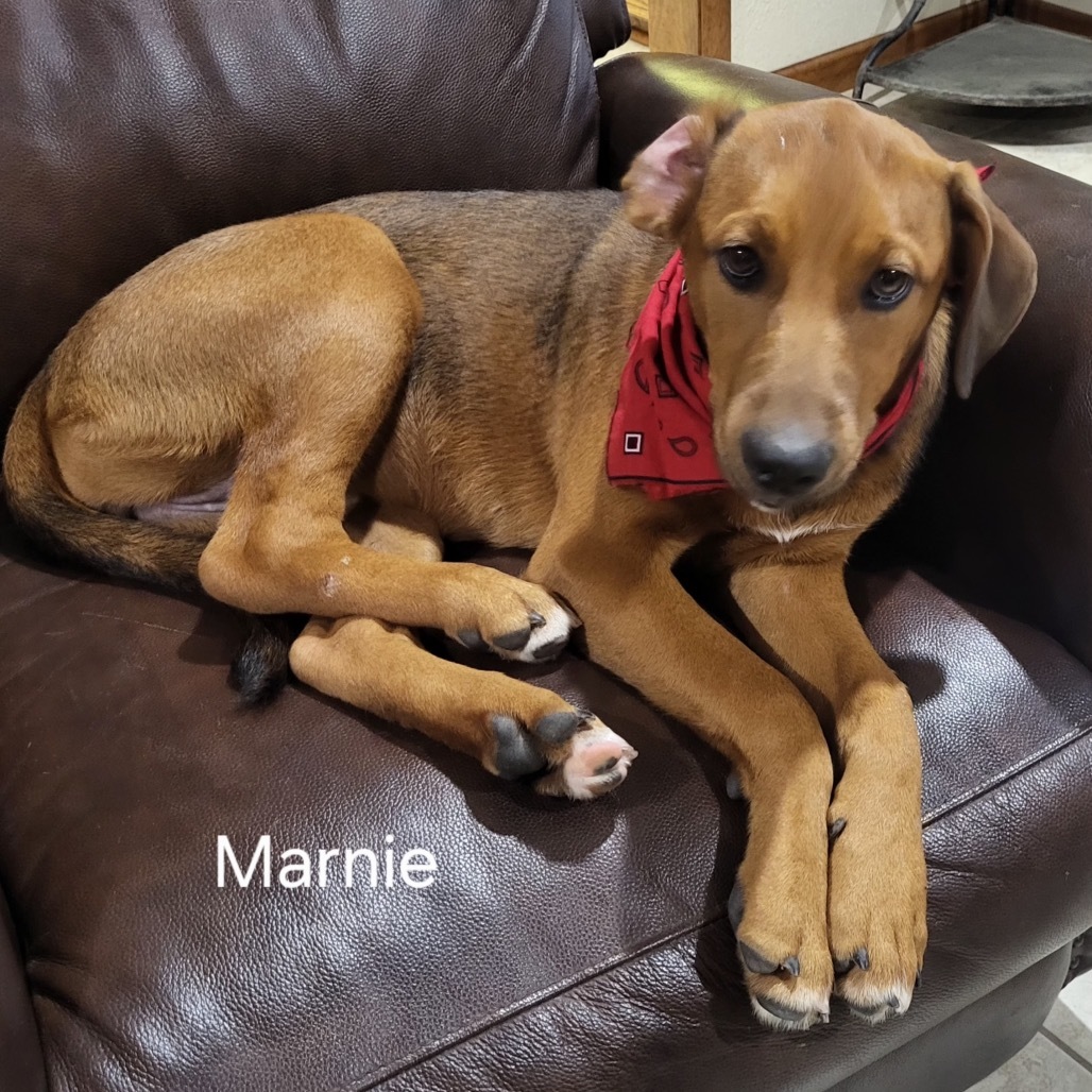Marnie
