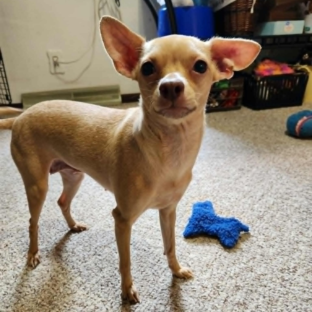 Sophie