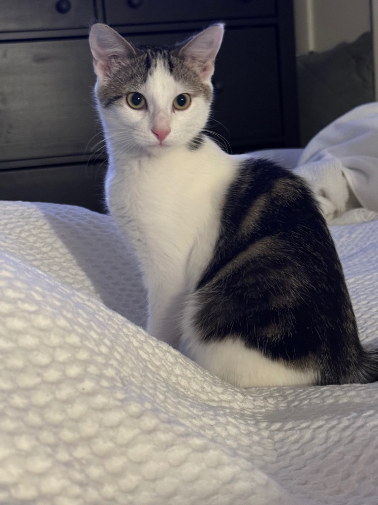 Penny