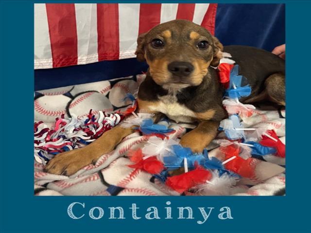 CONTAINYA