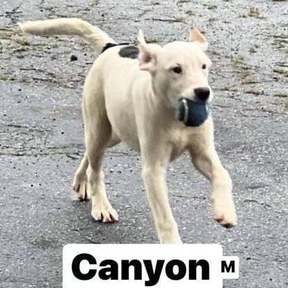 Canyon