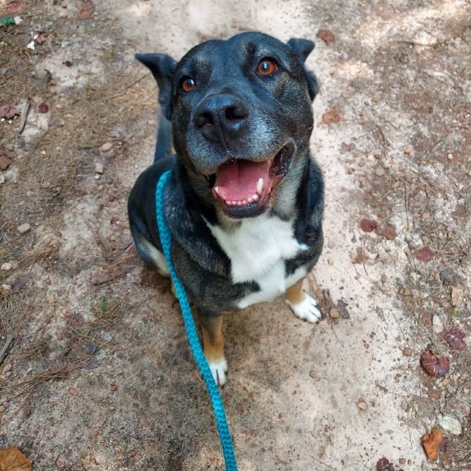 Zeus