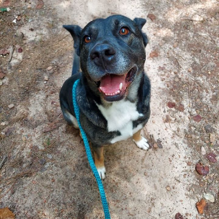 Zeus 1