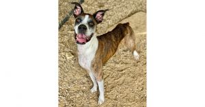 Rhea, Senior Female unknown