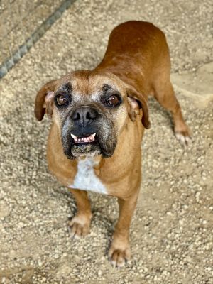 Rousey, Senior Female unknown
