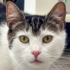 Baxter *Bonded w/ Doc*